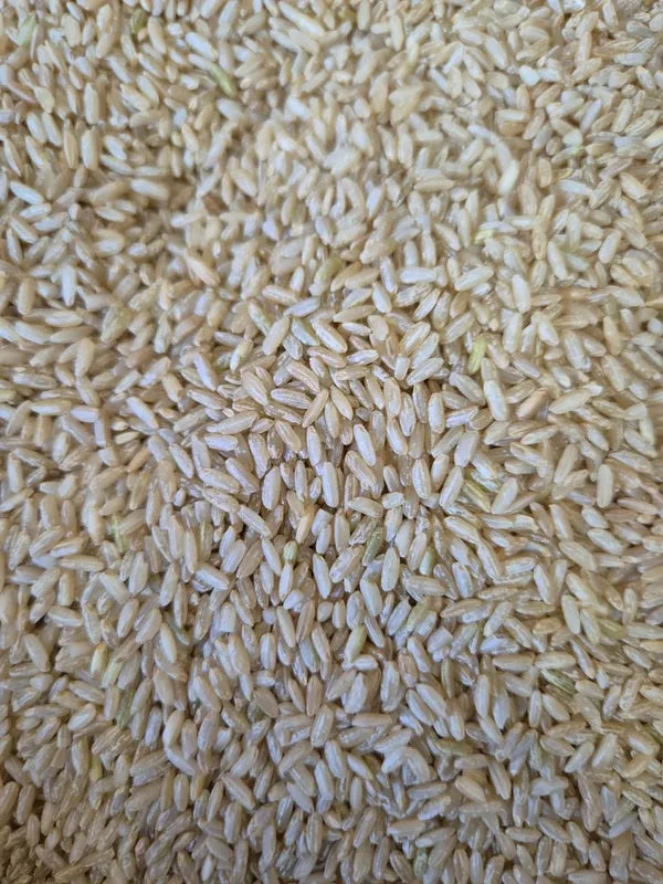 Organically Grown Brown Sonamasuri Rice